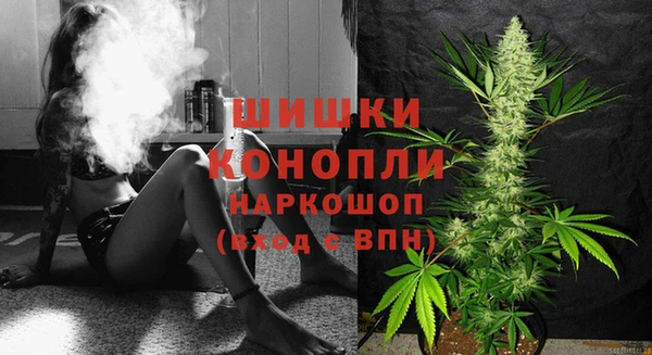 дурь Верхний Тагил