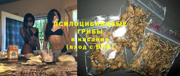 дурь Верхний Тагил